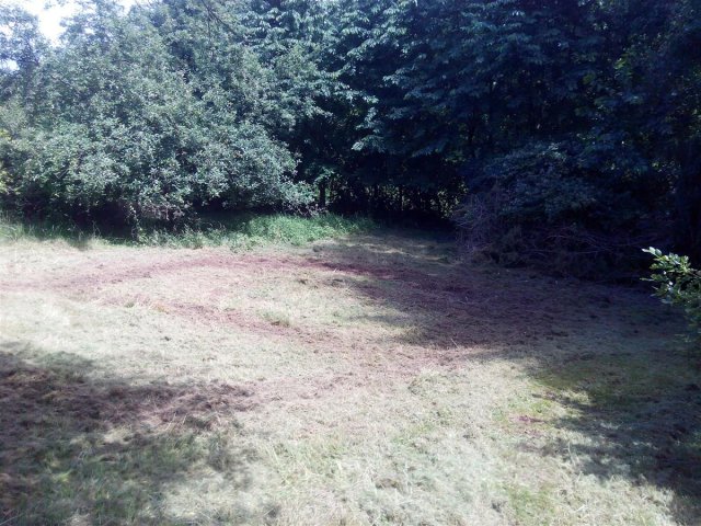 Bild von 