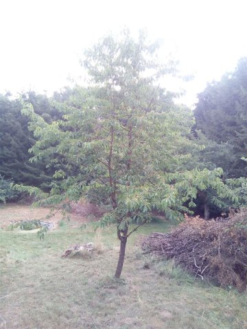 Bild von 