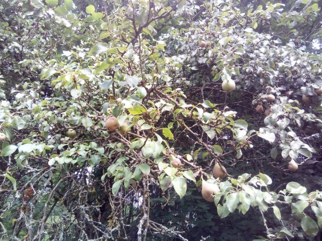 Bild von 