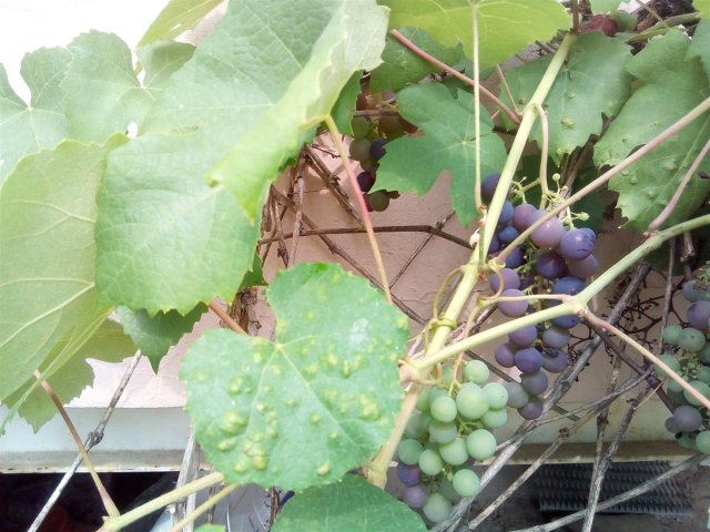 Bild von 