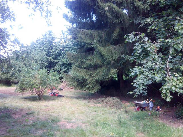 Bild von 