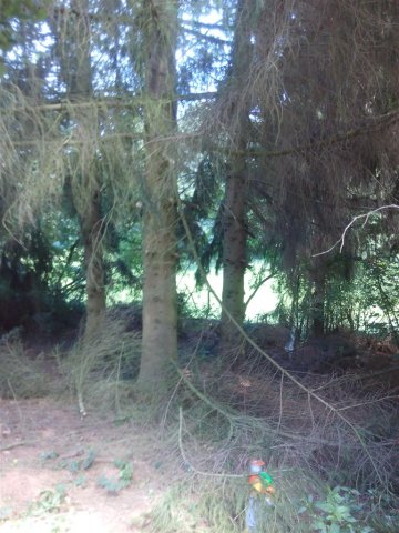 Bild von 