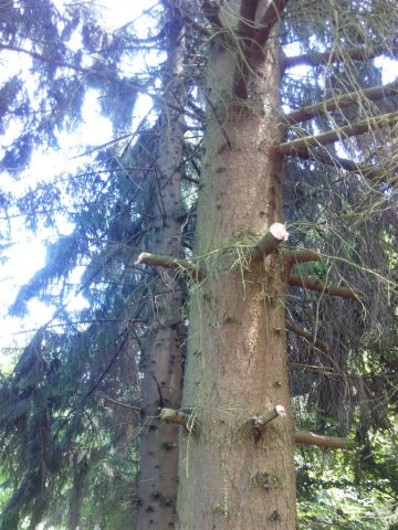 Bild von 