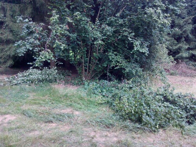 Bild von 