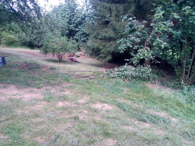 Bild von 