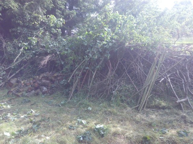 Bild von 