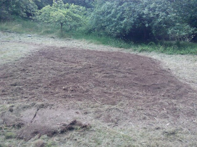 Bild von 
