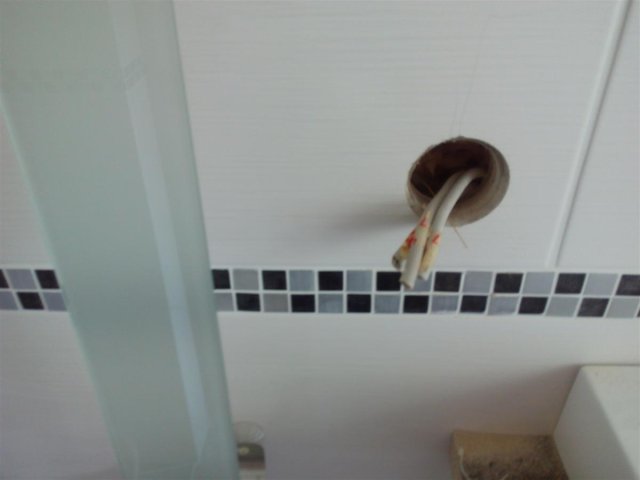 Bild von 