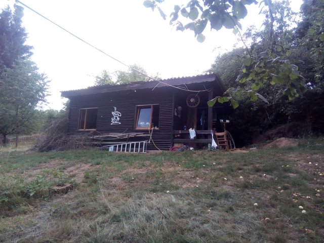 Bild von 